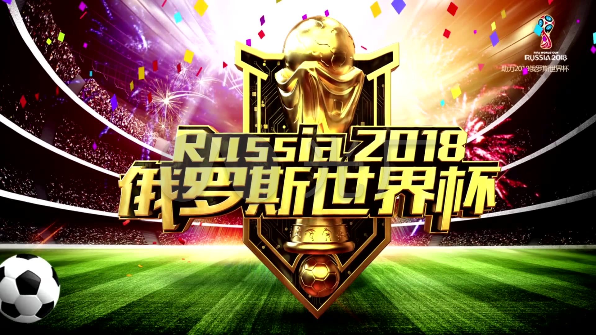 性总结